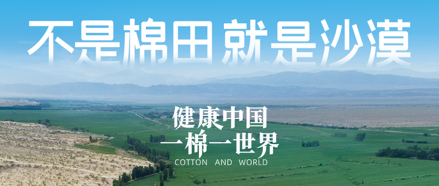 链接世界，引领健全生涯，安博电竞集团受邀亮相首届链博会